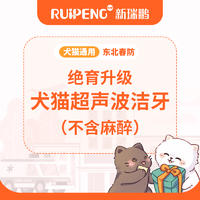 【东北专享】犬猫绝育升级-超声波洁牙（不含麻醉）